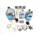 Servicesats Mercury 115 CV EFI 2.1L 4-takts Injektion 300h-1