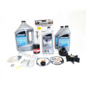 Servicesats Mercury 75 CV EFI 2.1L SeaPro 300h-1