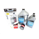 Servicesats Mercury 80 CV EFI 2.1L 4-takts Injektion 100h-2