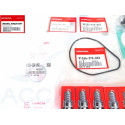 Kit Entretien Honda BF200-5