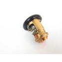 Thermostat d'Origine Honda 30CV 4T