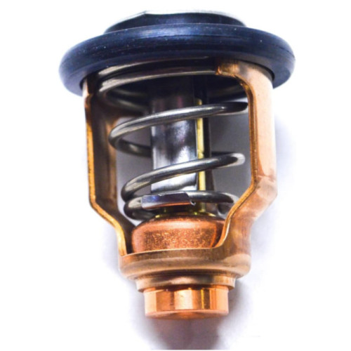 Thermostat Suzuki DF90