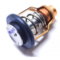 Thermostat Mercury 100CV