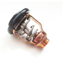 Thermostat Yamaha F75