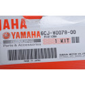 6CJ-W0078-01 Impellersats Yamaha F40 och F70